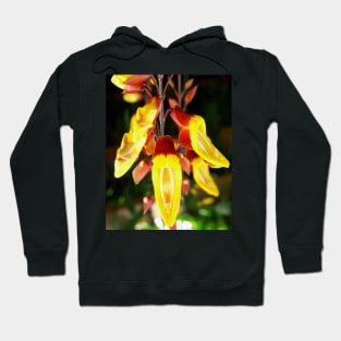 Tropical Yellow Hanging Flower Hoodie